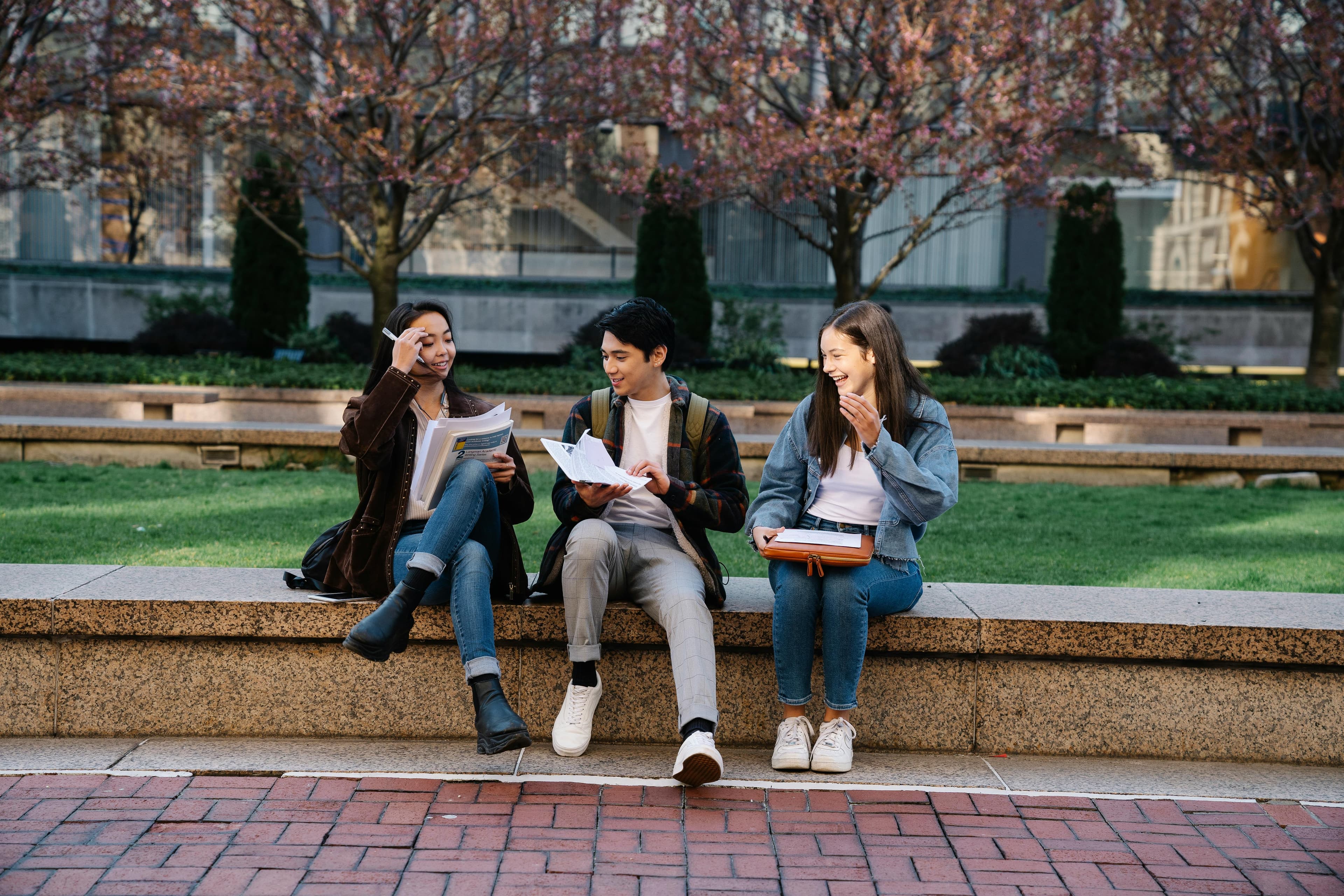 Students studying outdoors